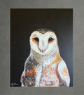 Tyto Alba , the light of the night