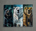 Bears