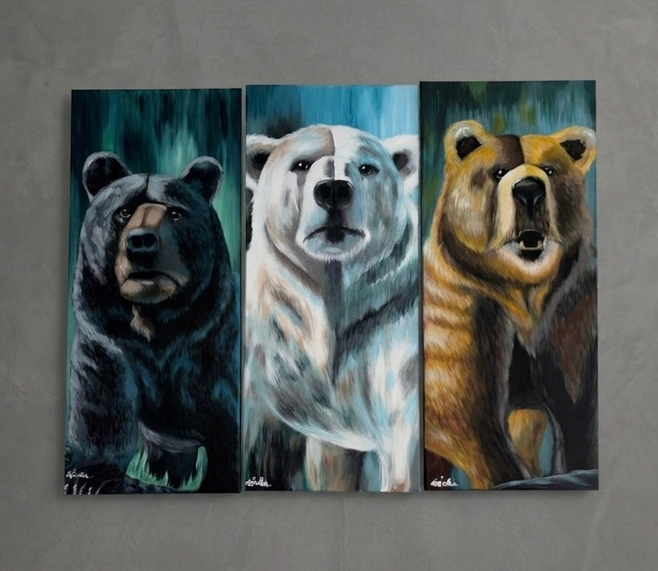 Bears