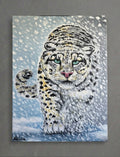 Snow Leopard