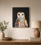 Tyto Alba , the light of the night